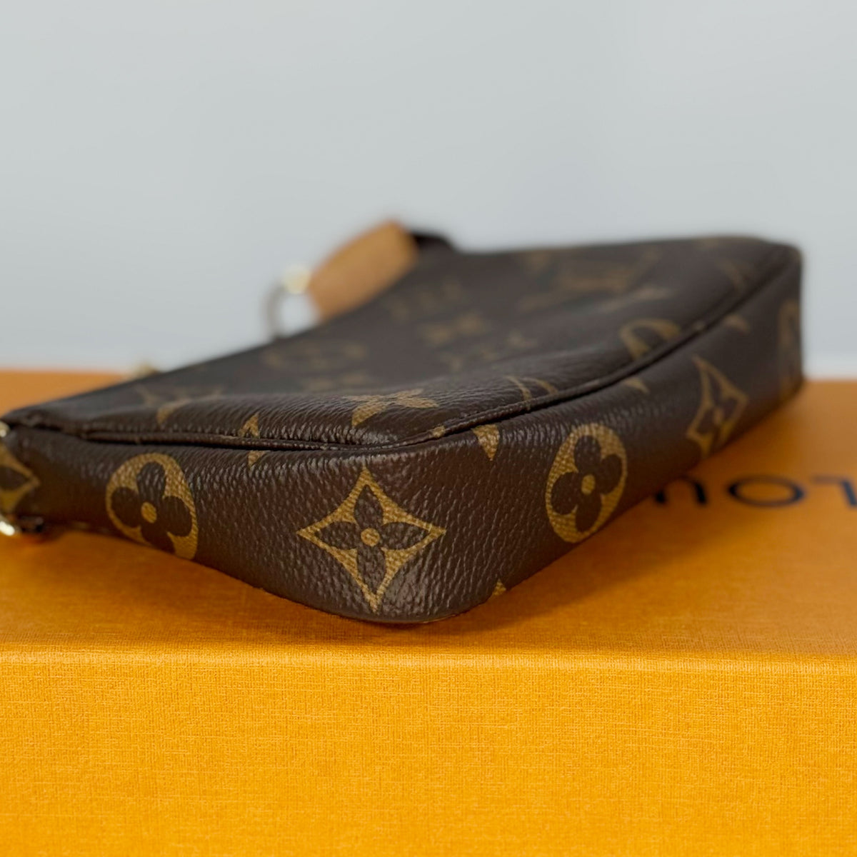Louis Vuitton Monogram Mini Pochette Accessories