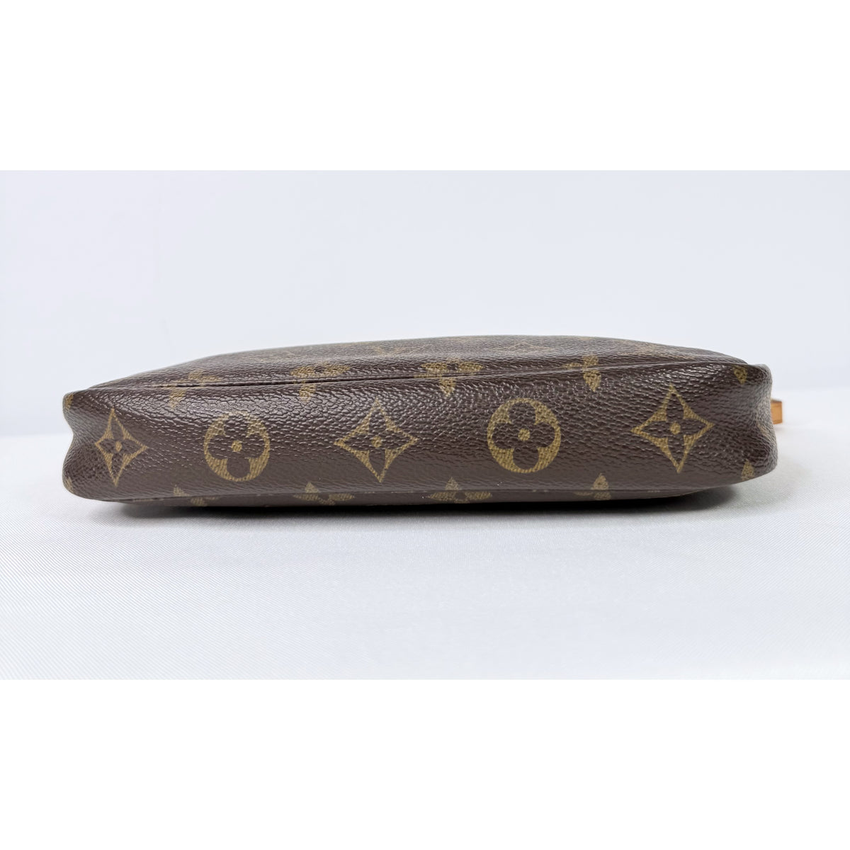 Louis Vuitton Pochette Accessories Monogram Canvas Shoulder Bag