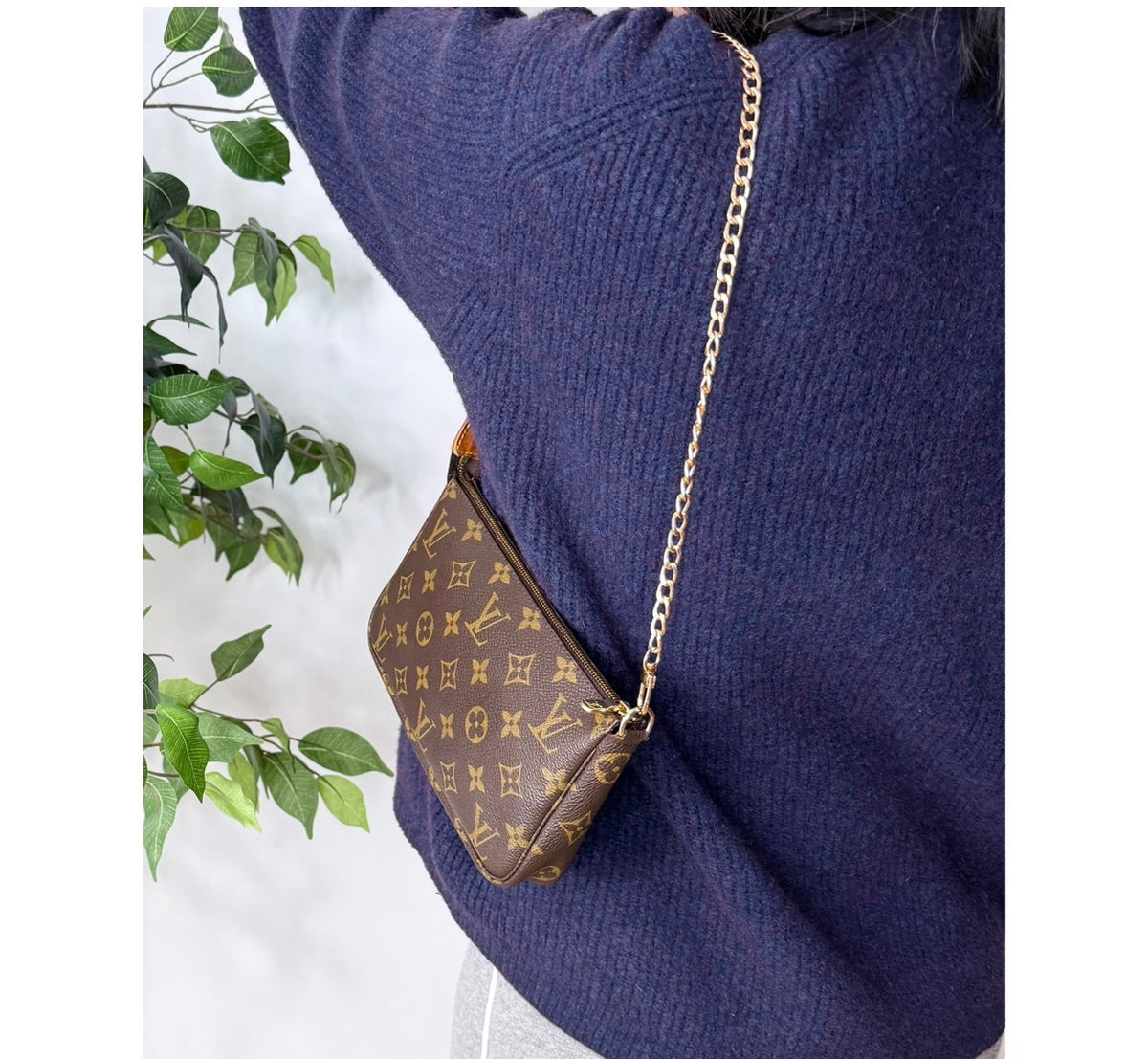 Louis Vuitton Monogram Pochette Accessories