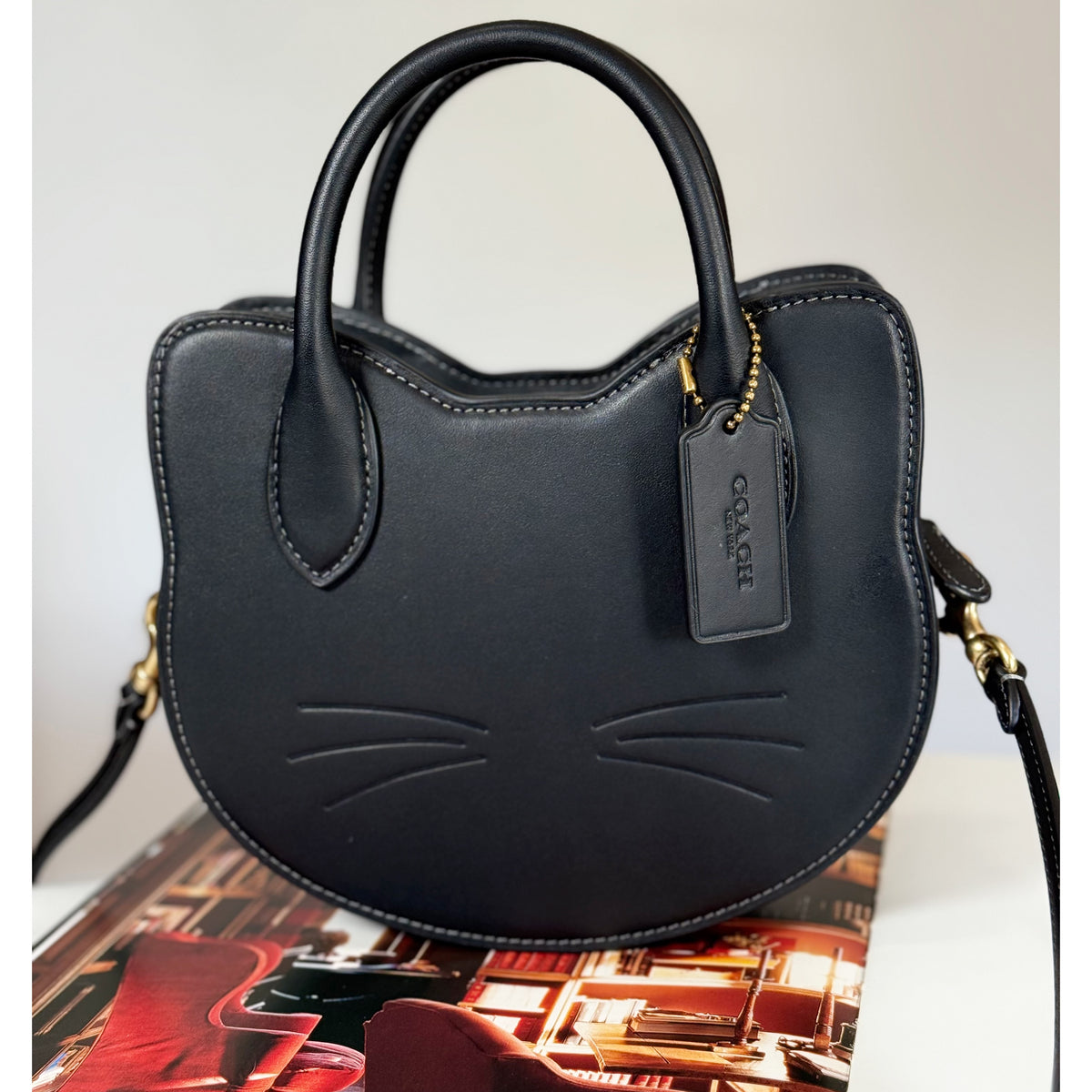 Coach CW615 Crossbody Bag Black Cat Leather Glovetanned 2025