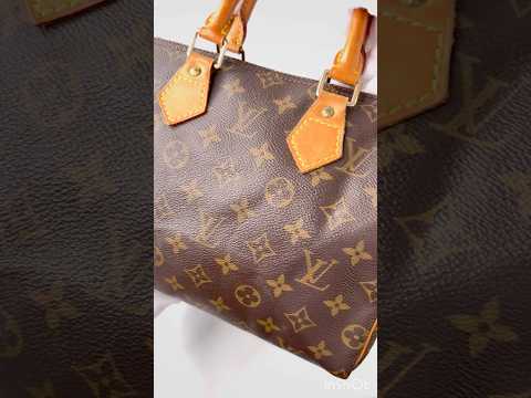 Louis Vuitton Speedy 25 Monogram Handbag
