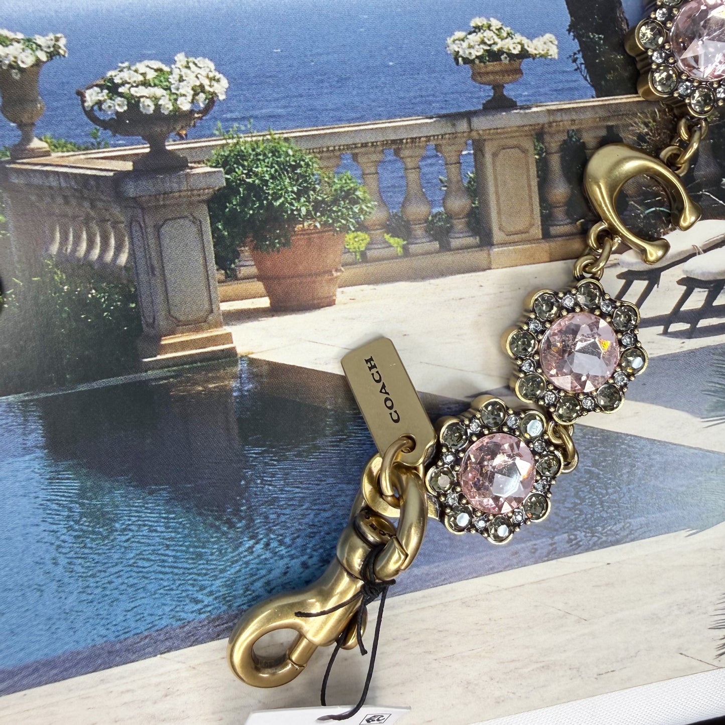 Coach Short Jewelry Chain Strap In Brass/Pink Multi CAU47 NWT