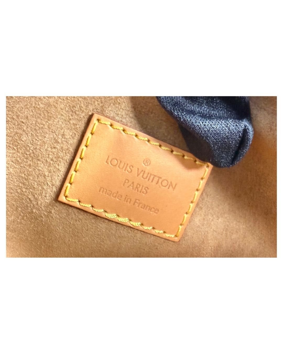 Louis Vuitton Monogram Loop Shoulder Bag