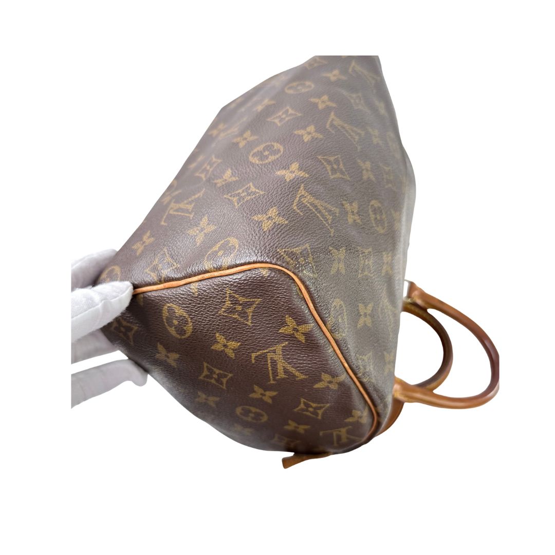 Louis Vuitton Speedy 25 Monogram Handbag