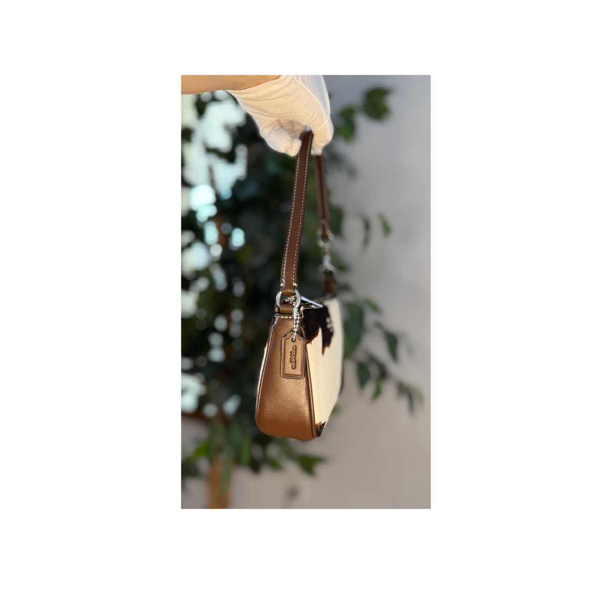 Coach Nolita 19 With Cow Print