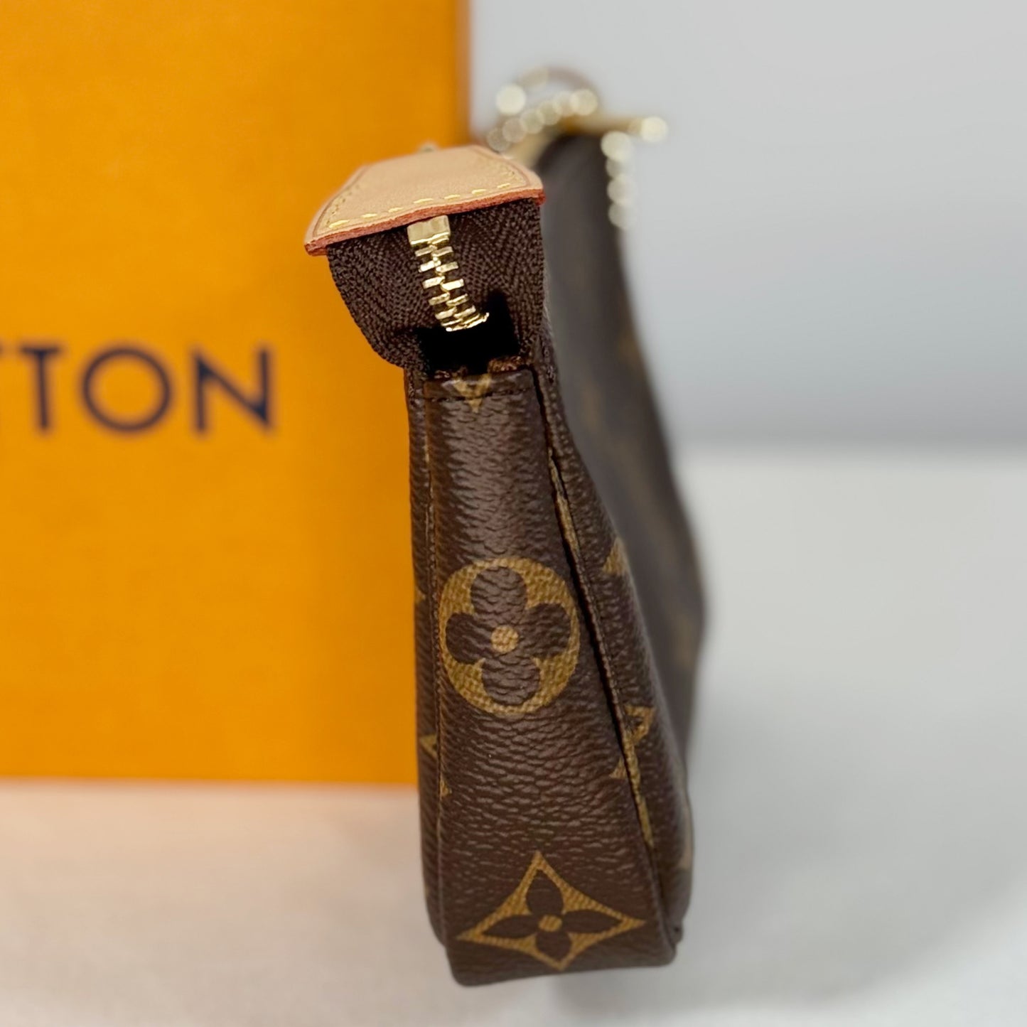 Louis Vuitton Monogram Mini Pochette Accessories