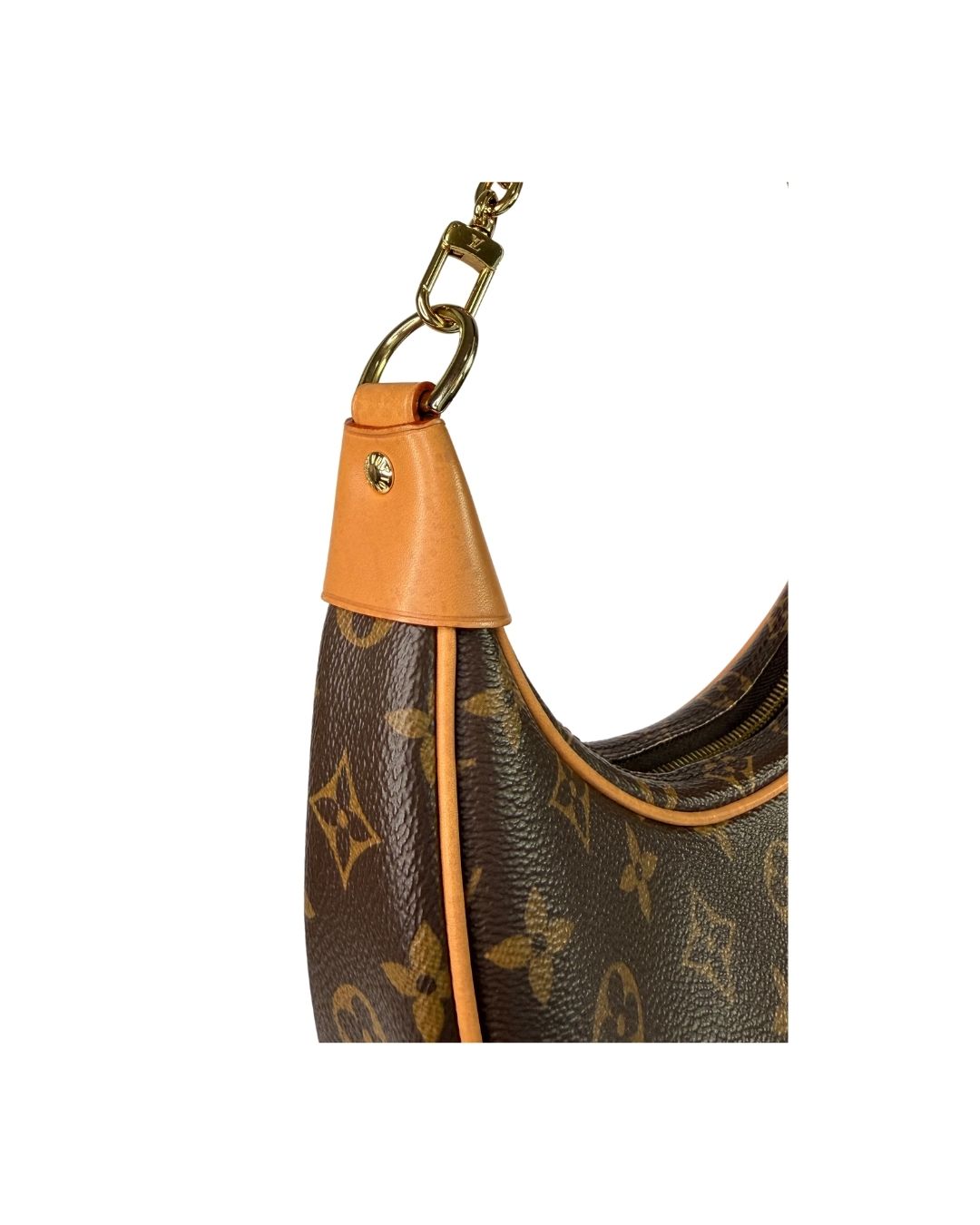Louis Vuitton Monogram Loop Shoulder Bag