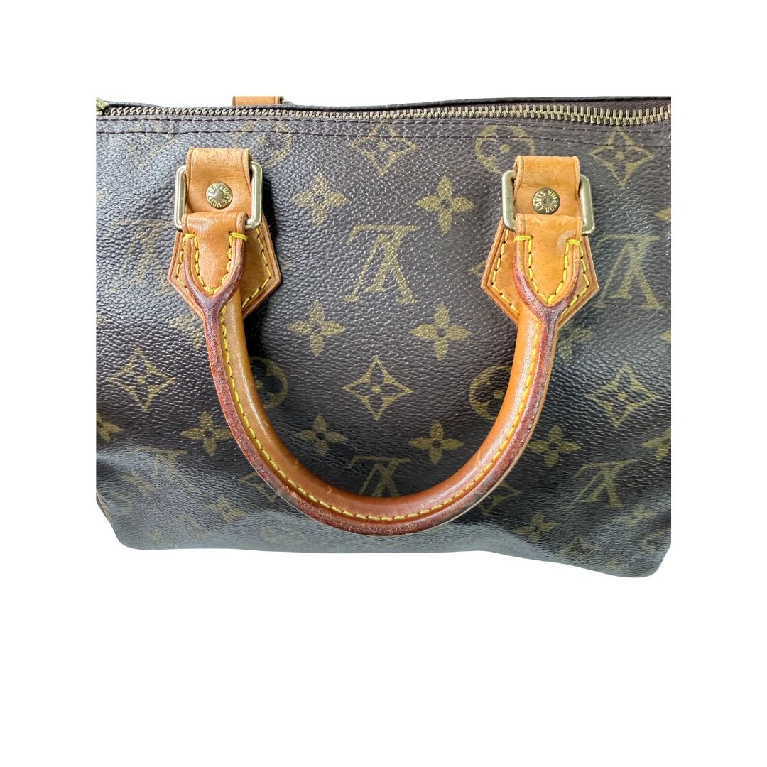 Louis Vuitton Speedy 25 Monogram Handbag