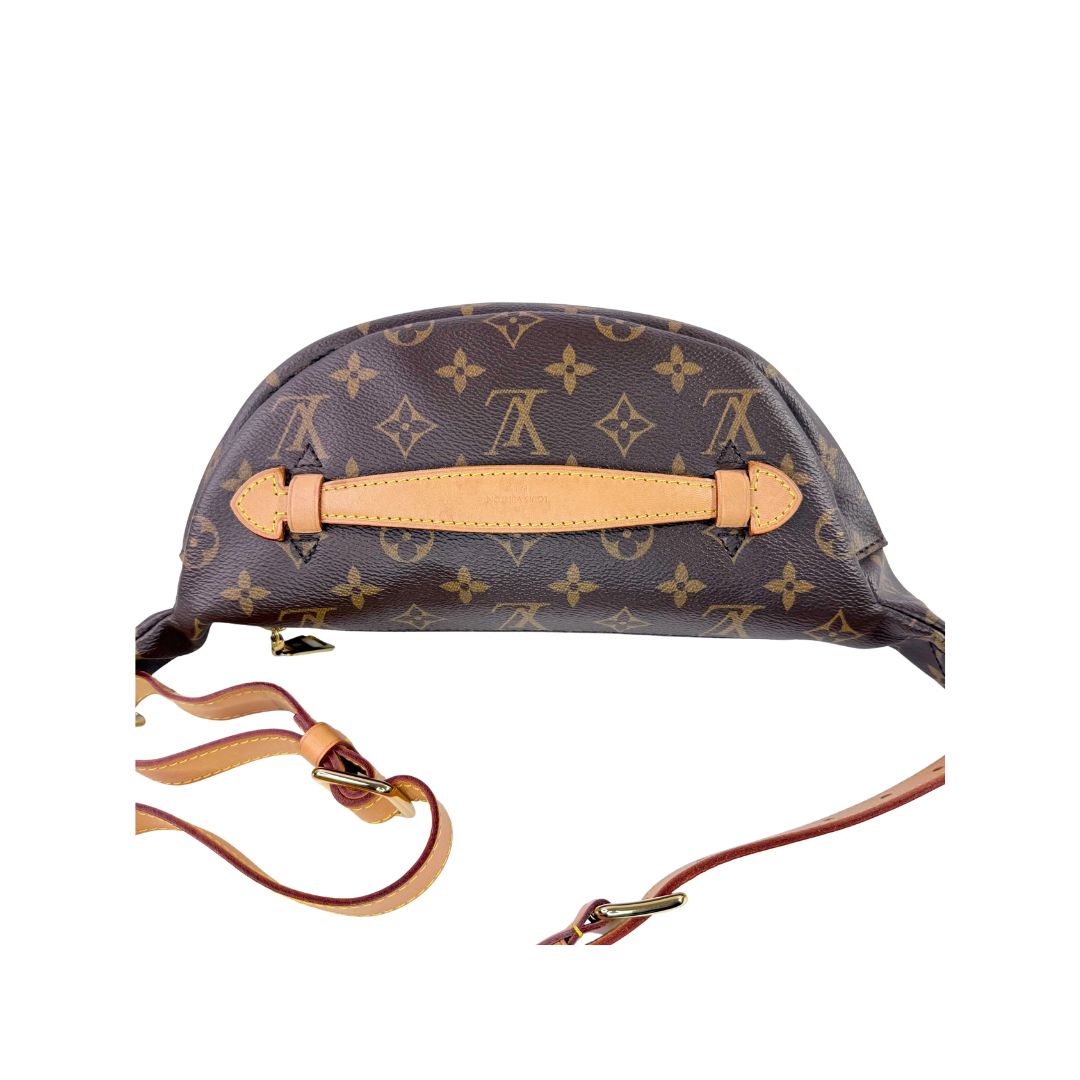 Louis Vuitton Monogram Bumbag
