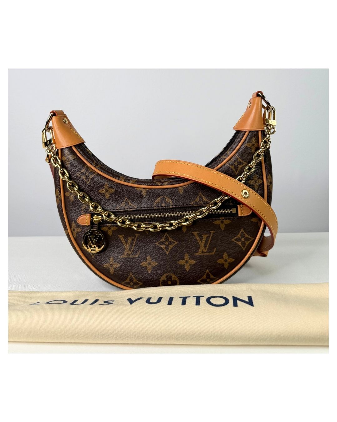Louis Vuitton Monogram Loop Shoulder Bag
