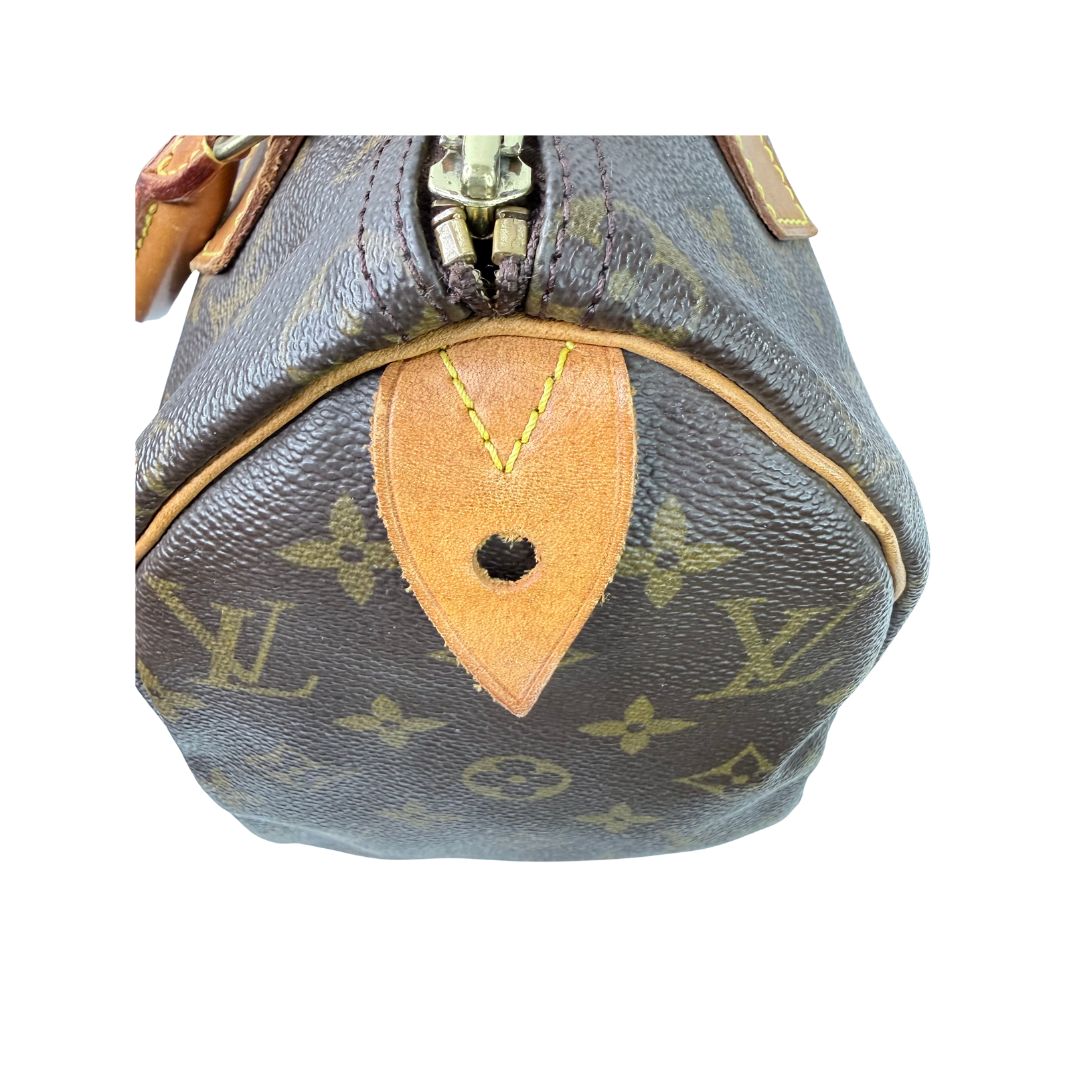 Louis Vuitton Speedy 25 Monogram Handbag