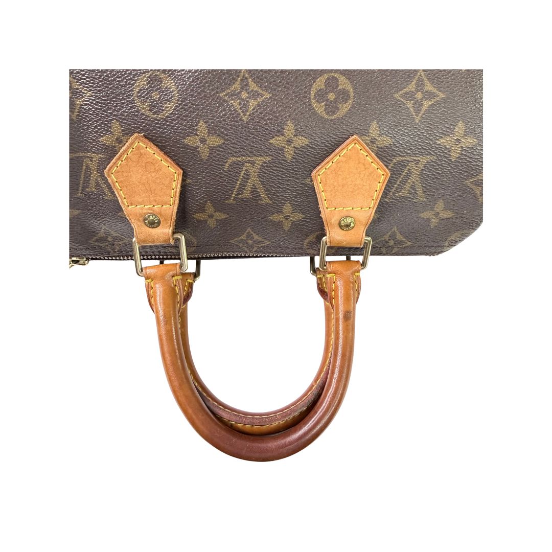 Louis Vuitton Speedy 25 Monogram Handbag