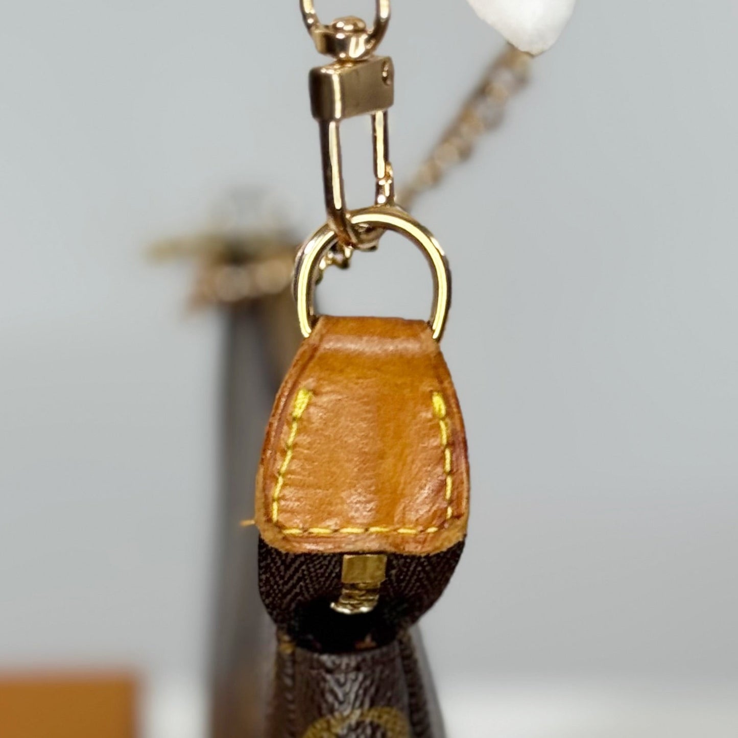 Louis Vuitton Monogram Pochette Accessories