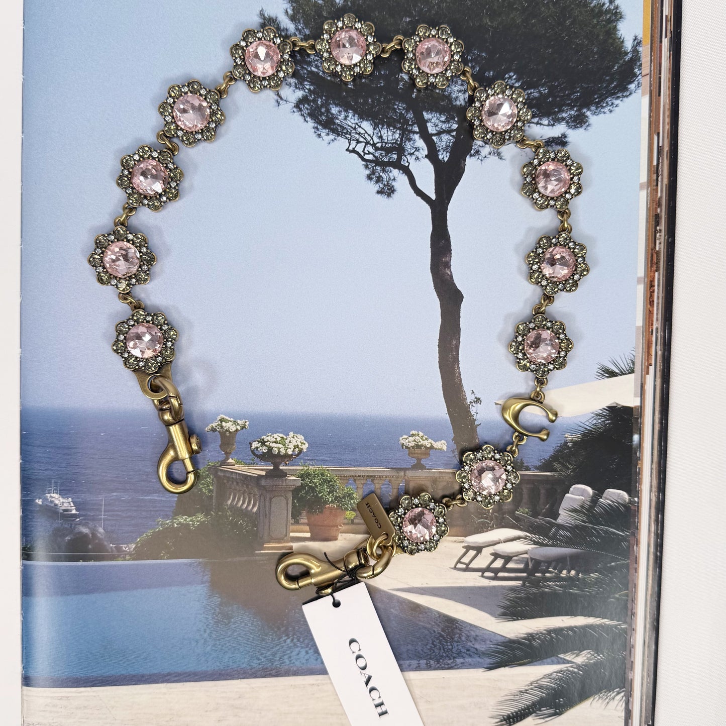 Coach Short Jewelry Chain Strap In Brass/Pink Multi CAU47 NWT