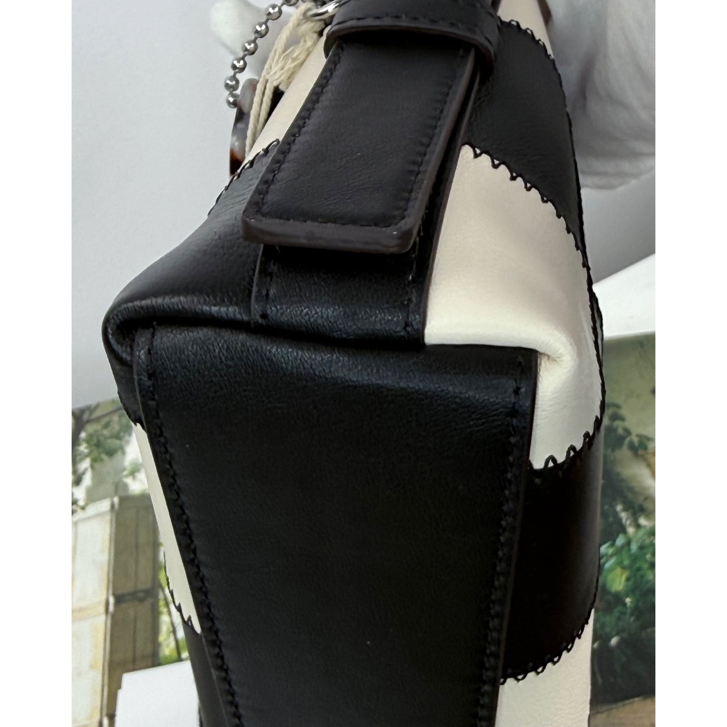 Coach SMALL Alter Ego Bag Coachtopia NWT