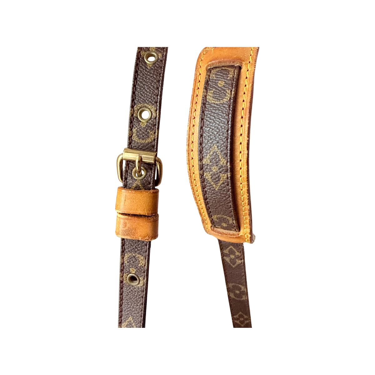 Louis Vuitton Danube Monogram Crossbody Bag
