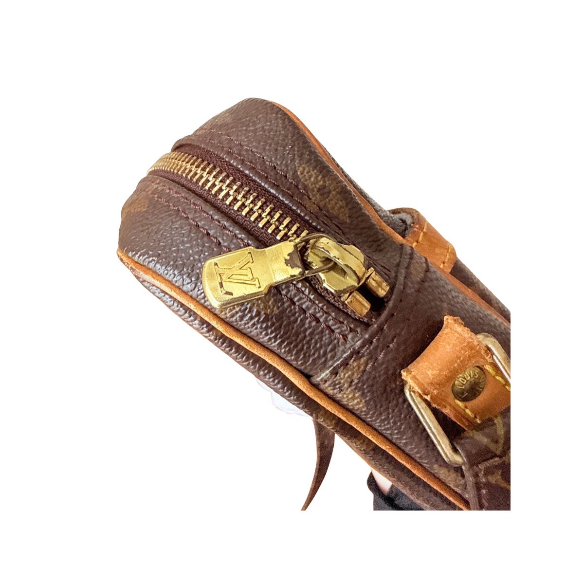 Louis Vuitton Danube Monogram Crossbody Bag