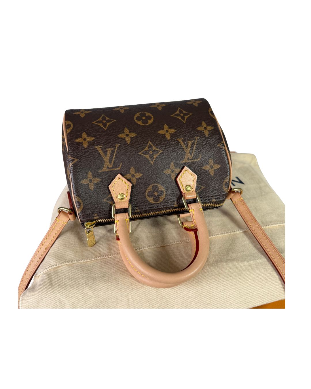 Louis Vuitton Nano Speedy Monogram