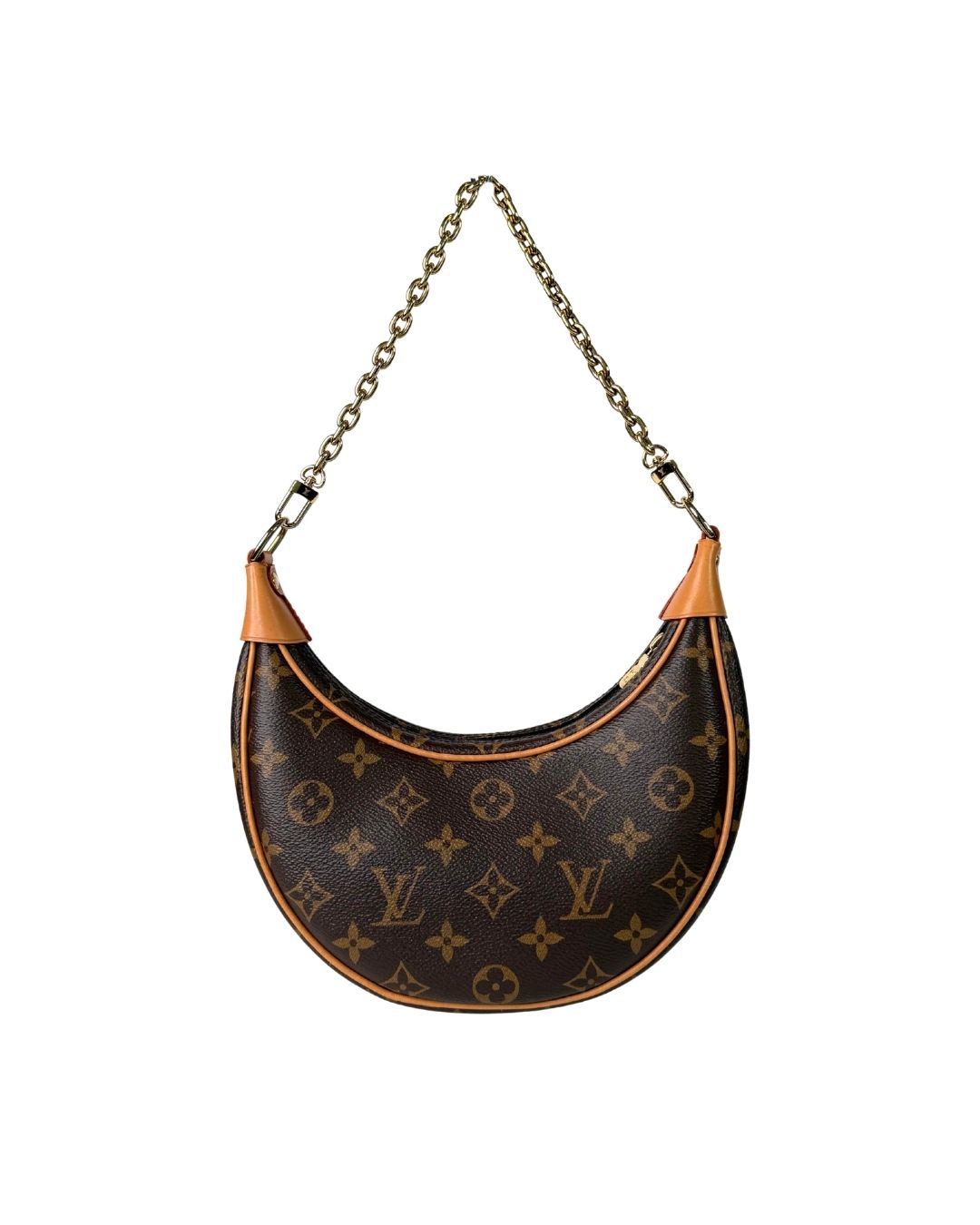 Louis Vuitton Monogram Loop Shoulder Bag