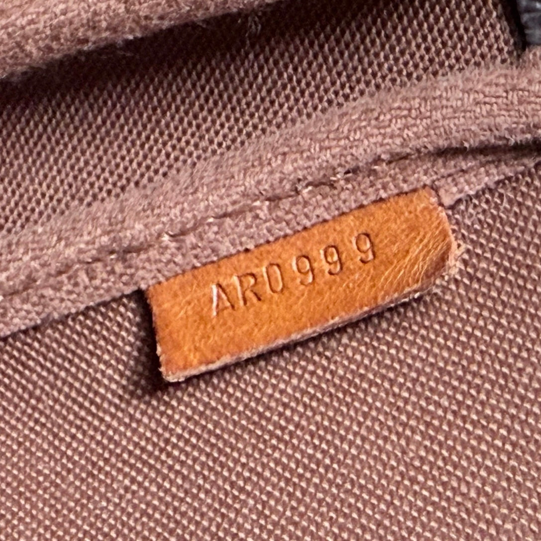 Louis Vuitton Monogram Pochette Accessories