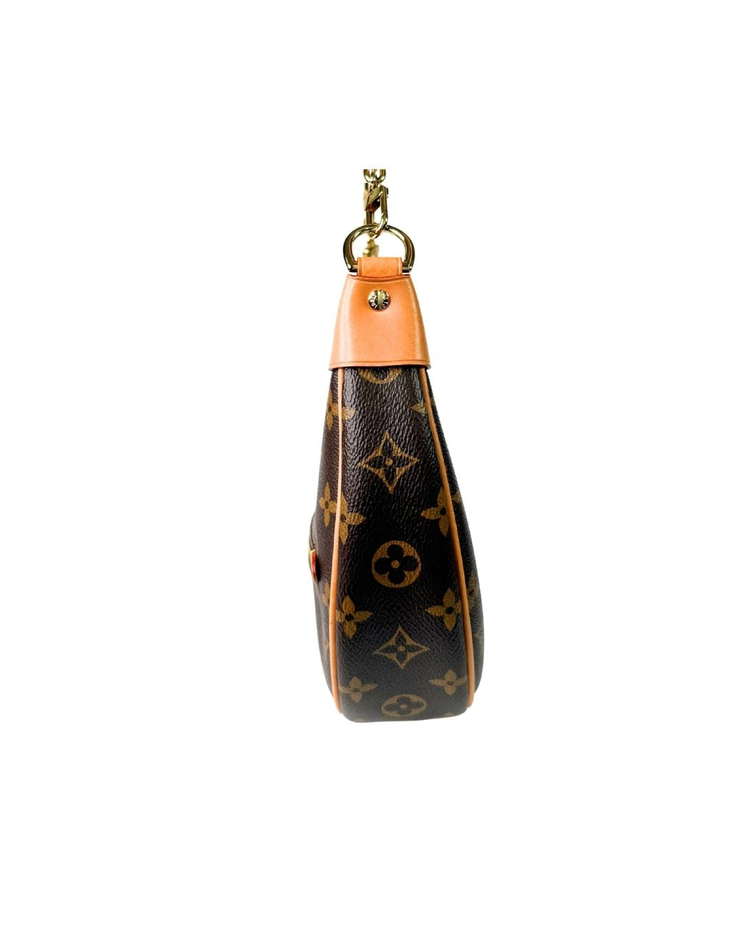 Louis Vuitton Monogram Loop Shoulder Bag