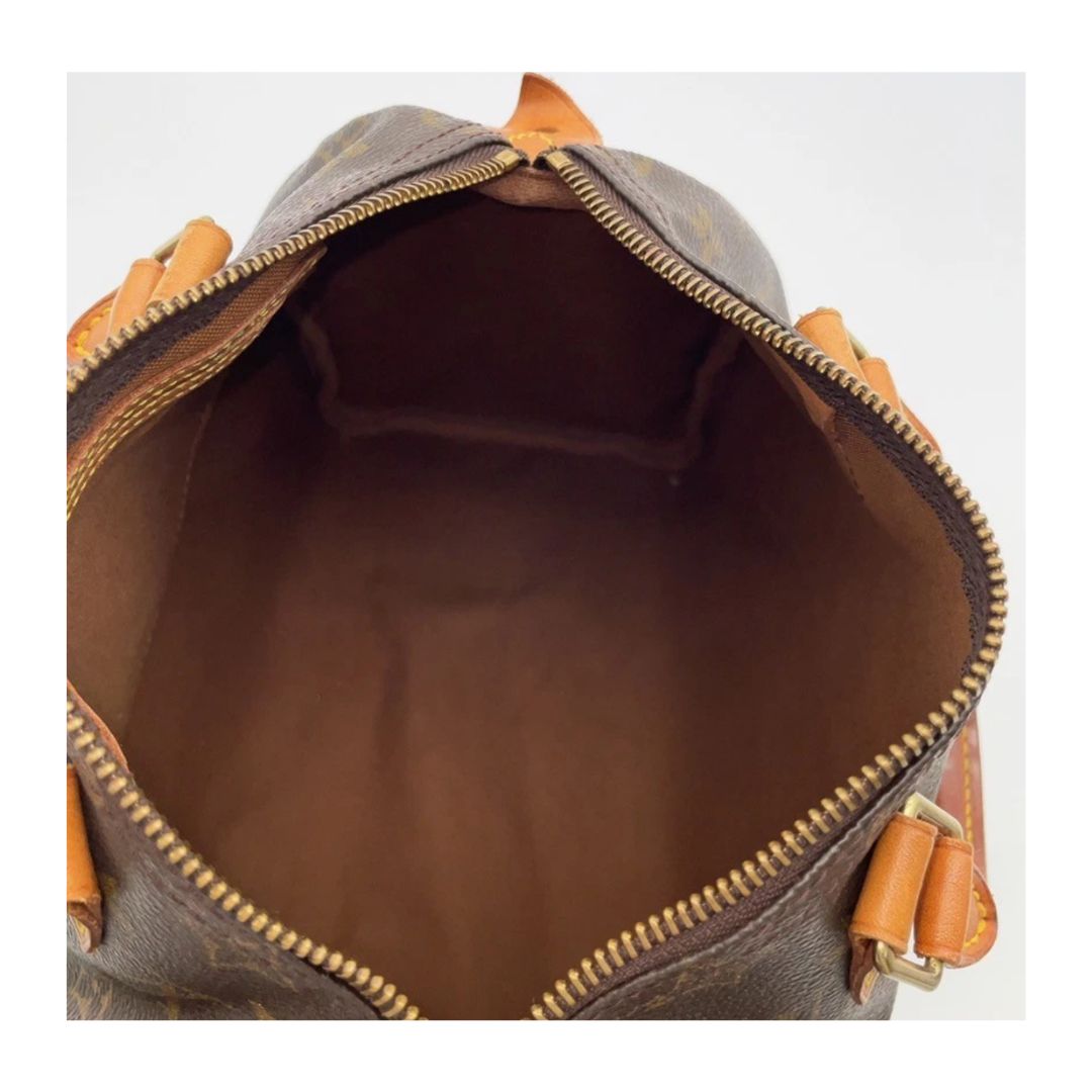 Louis Vuitton Speedy 25 Monogram Handbag