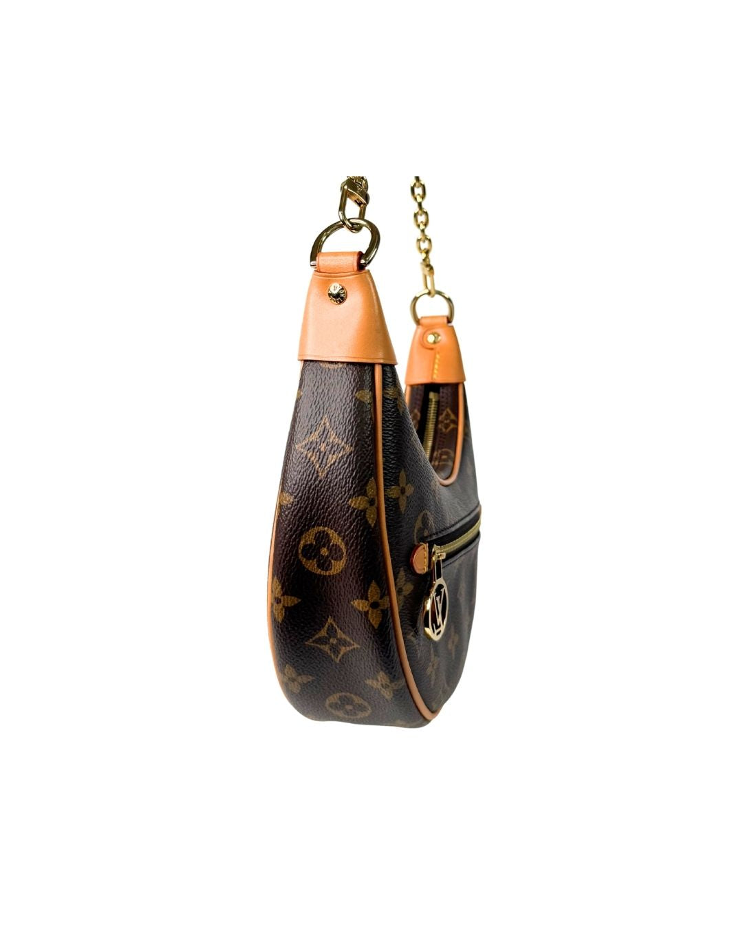 Louis Vuitton Monogram Loop Shoulder Bag