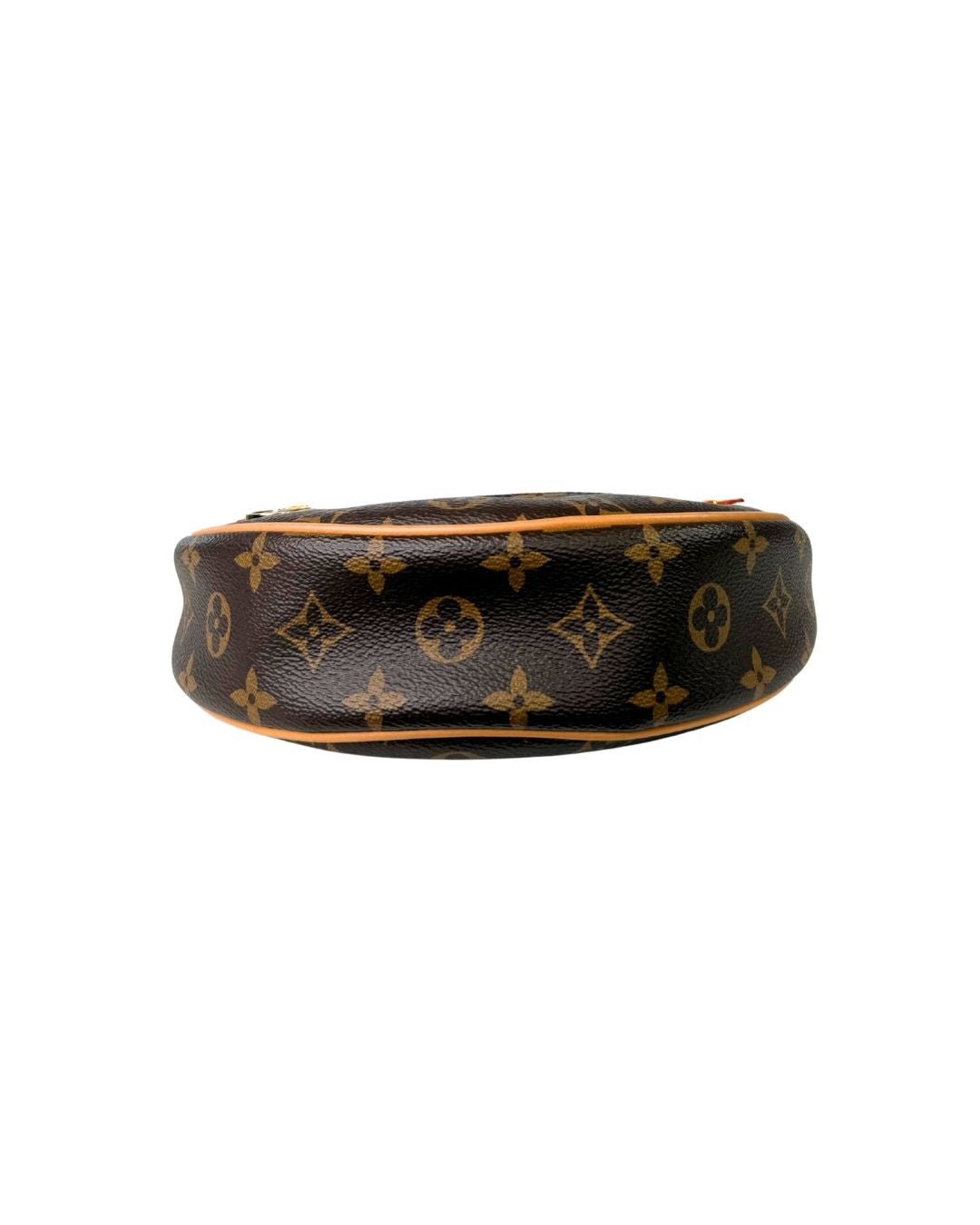 Louis Vuitton Monogram Loop Shoulder Bag