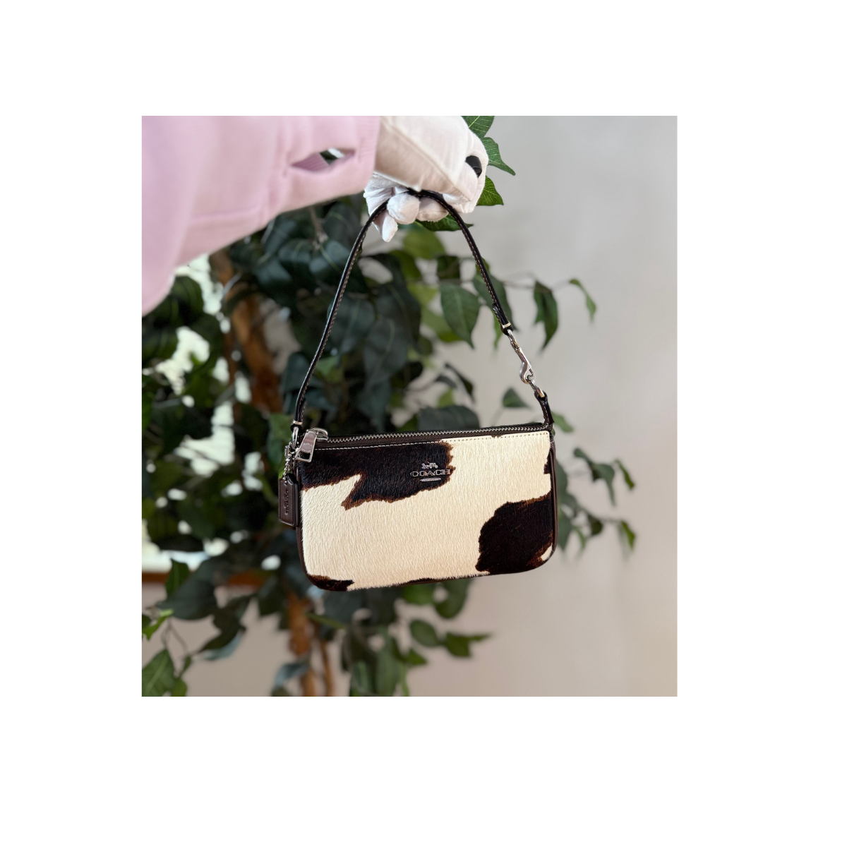Coach Nolita 19 With Cow Print