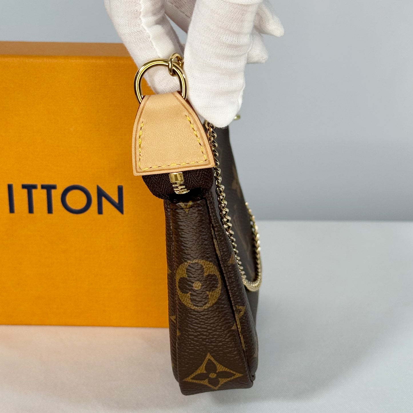 Louis Vuitton Monogram Mini Pochette Accessories