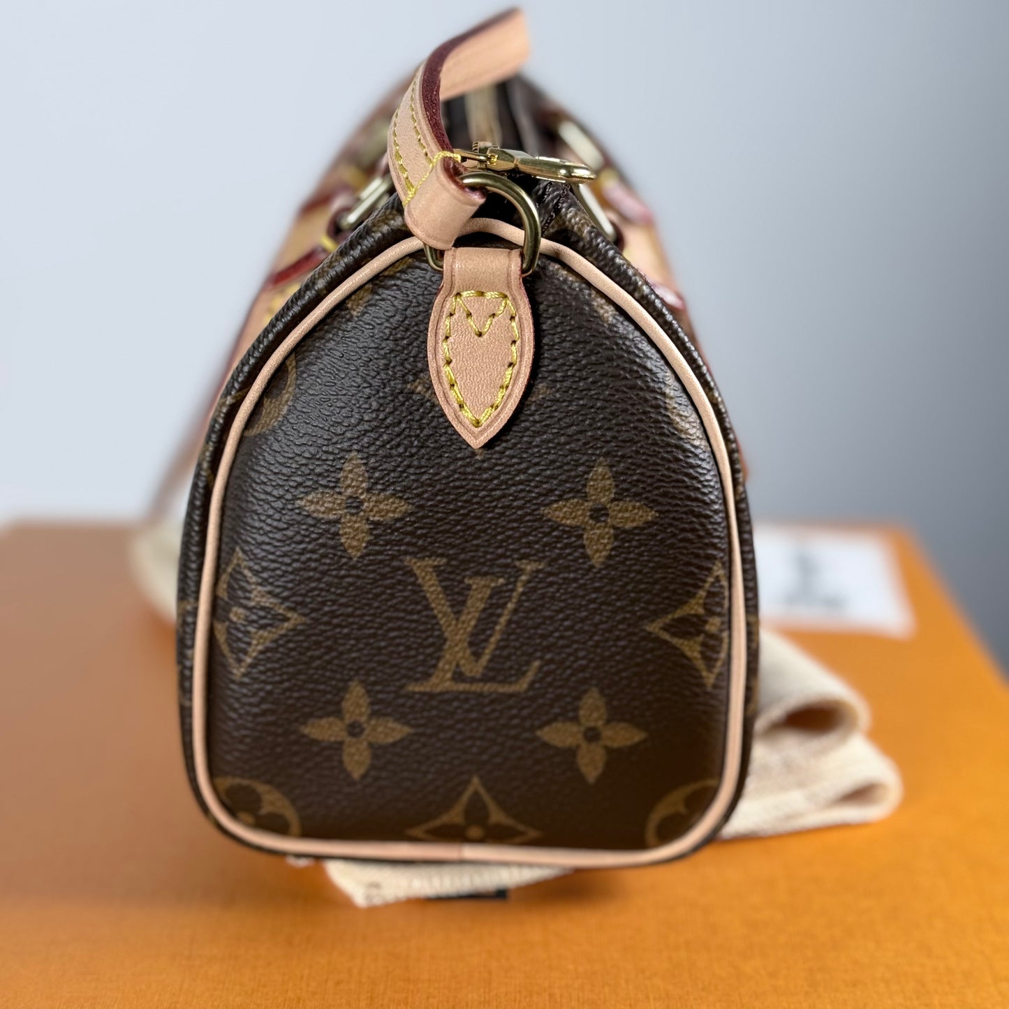 Louis Vuitton Nano Speedy Monogram Canvas Bag Old Version Discontinued