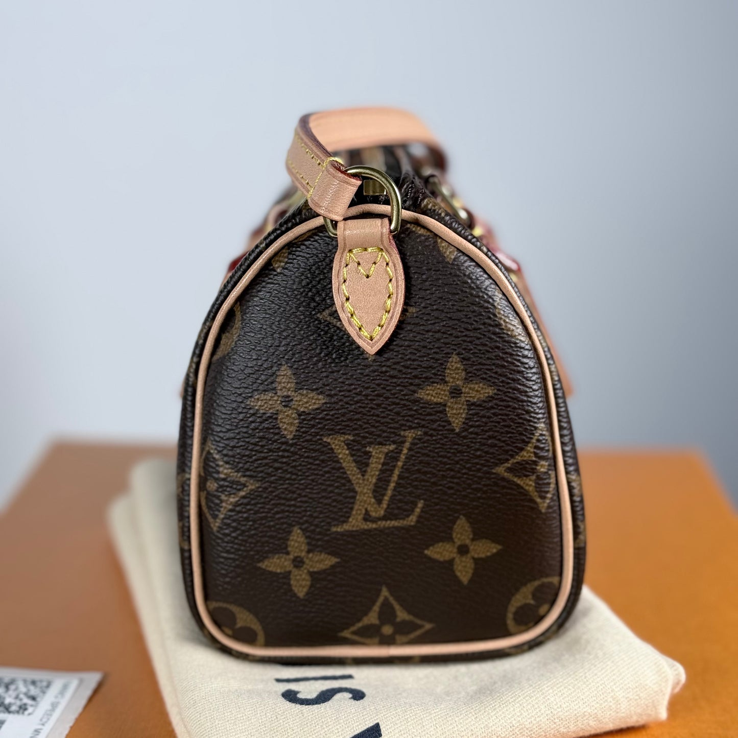 Louis Vuitton Nano Speedy Monogram Canvas Bag Old Version Discontinued