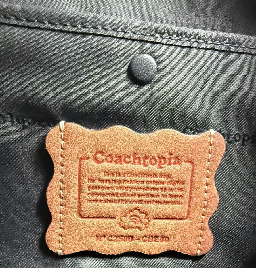 Coach CBE00 Alter/Ego Shoulder Bag In Checkerboard Upcrafted Leather Coachtopia NWT