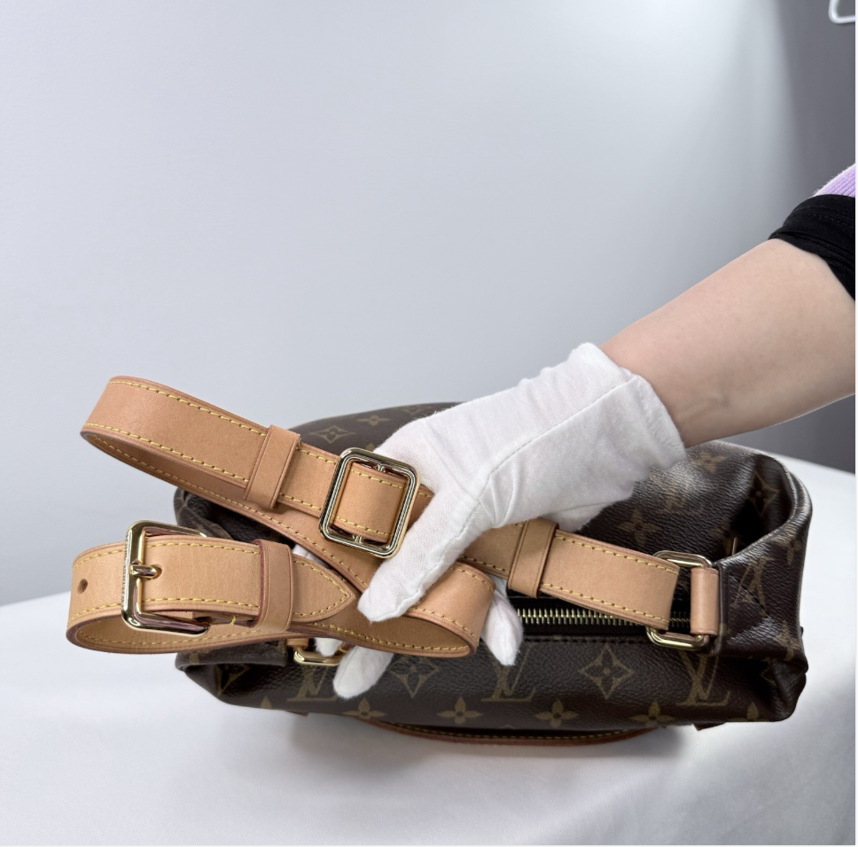 Louis Vuitton Monogram Bumbag