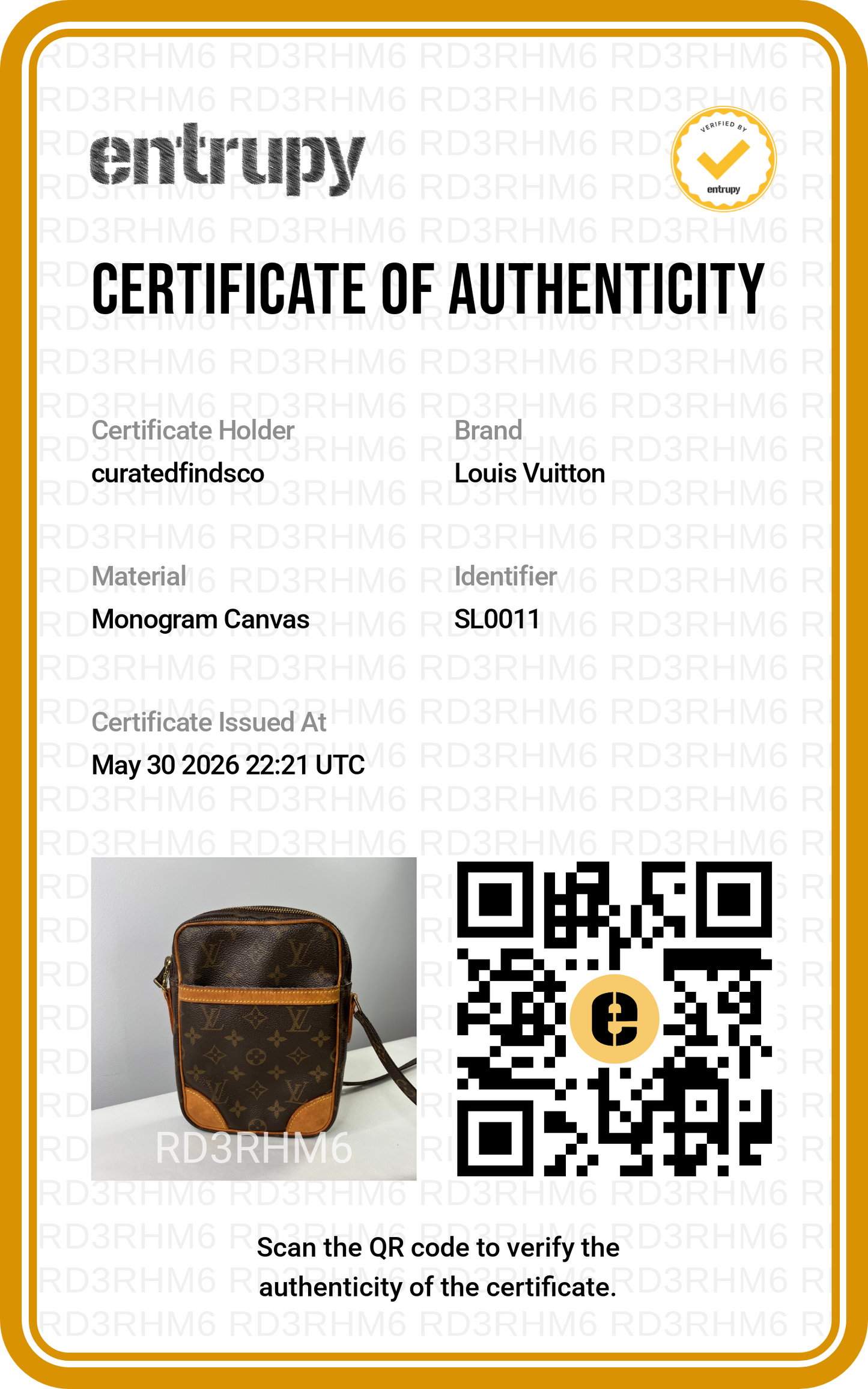 Louis Vuitton Danube Monogram Crossbody Bag