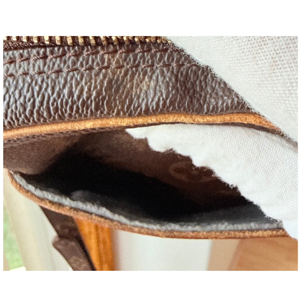 Louis Vuitton Danube Monogram Crossbody Bag