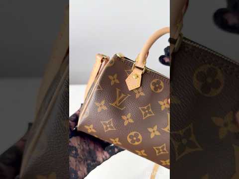 Louis Vuitton Nano Speedy Monogram